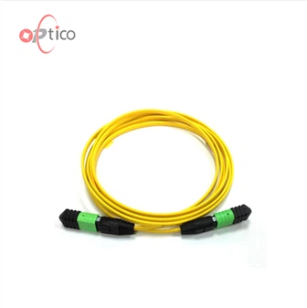12F Singemode MTP glavni kabel